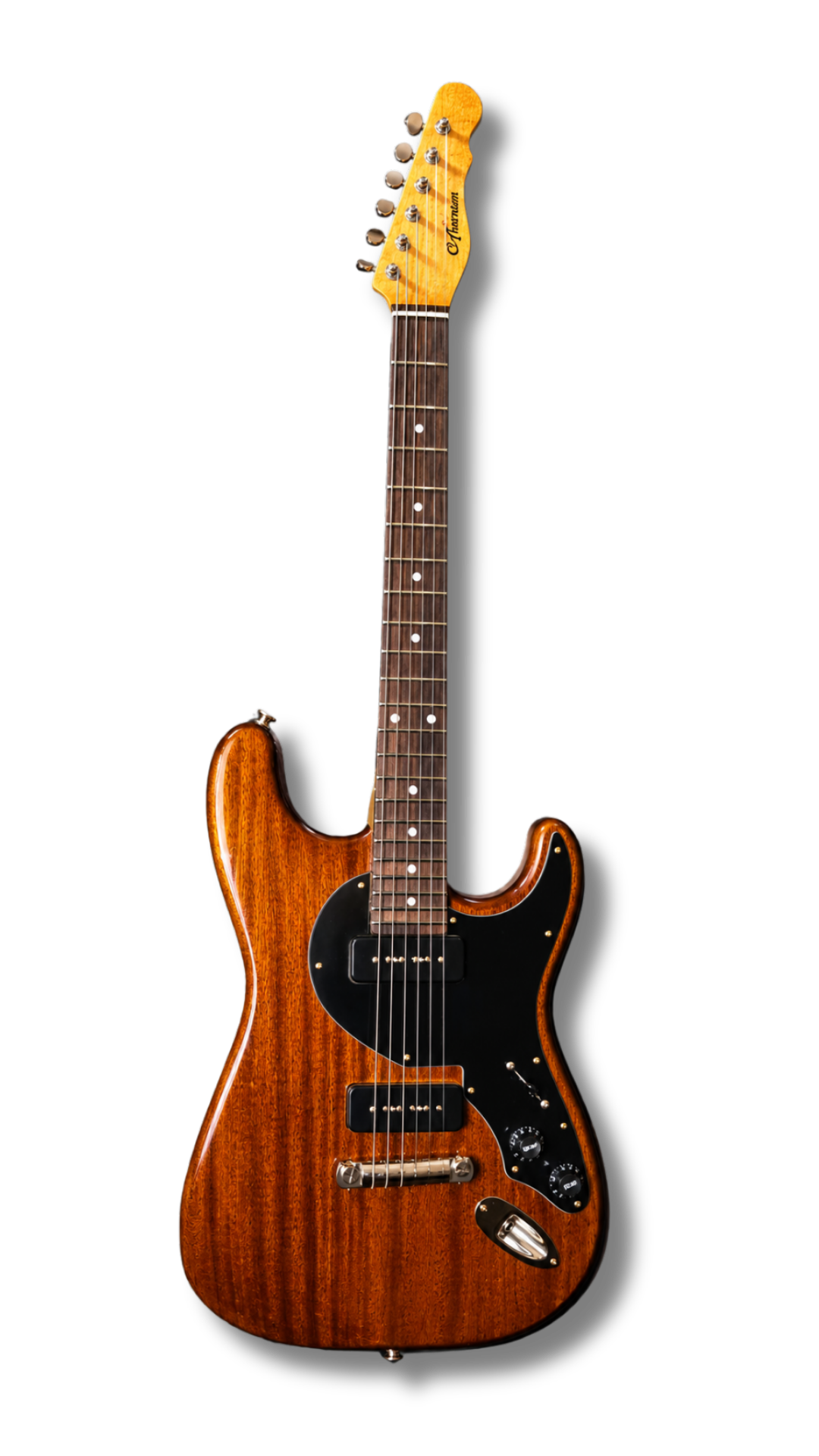 SGS-Fusion (Category)