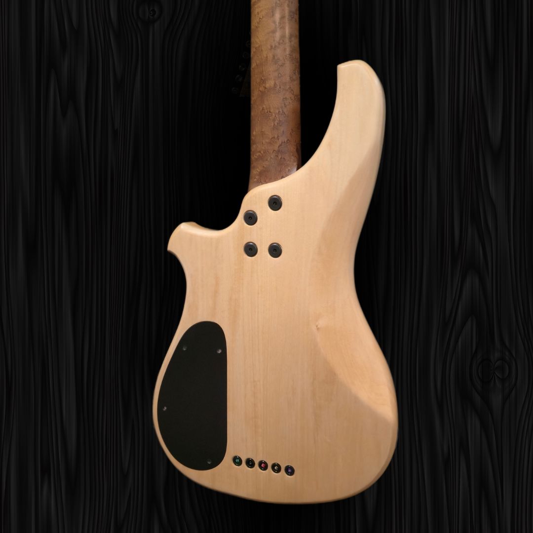 TR5 Bass - 050 Bass Wood and Bubinga (8)